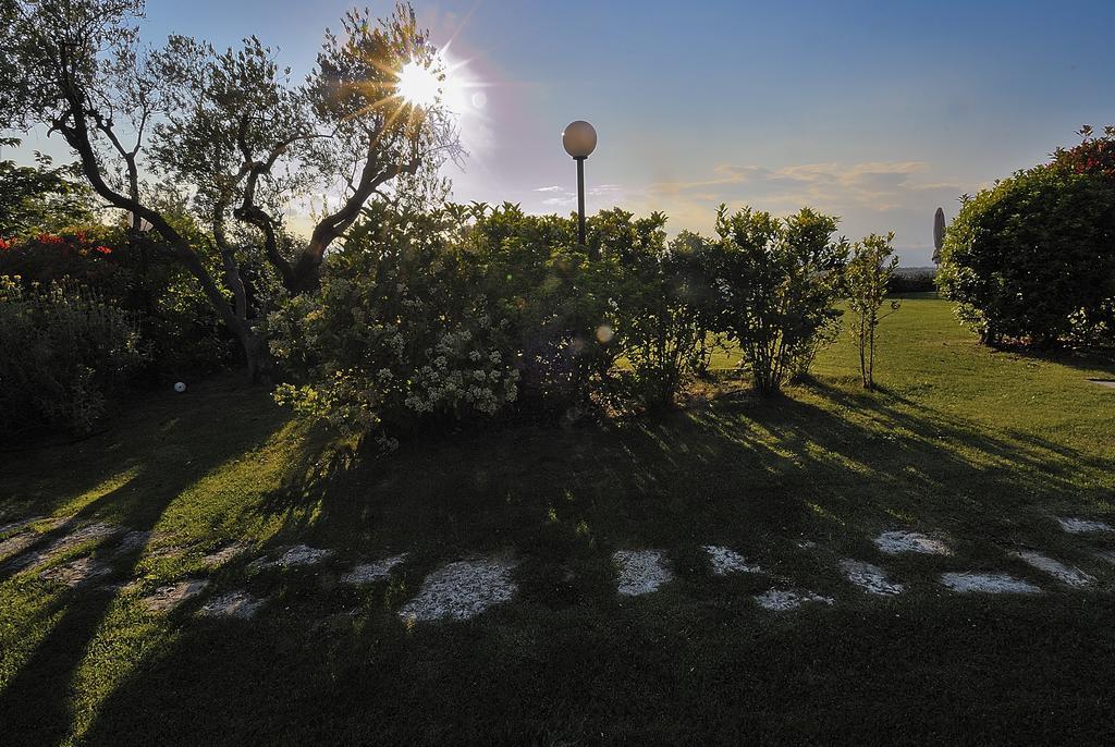 Agriturismo Poggio Delle Conche ปีติญาโน ภายนอก รูปภาพ