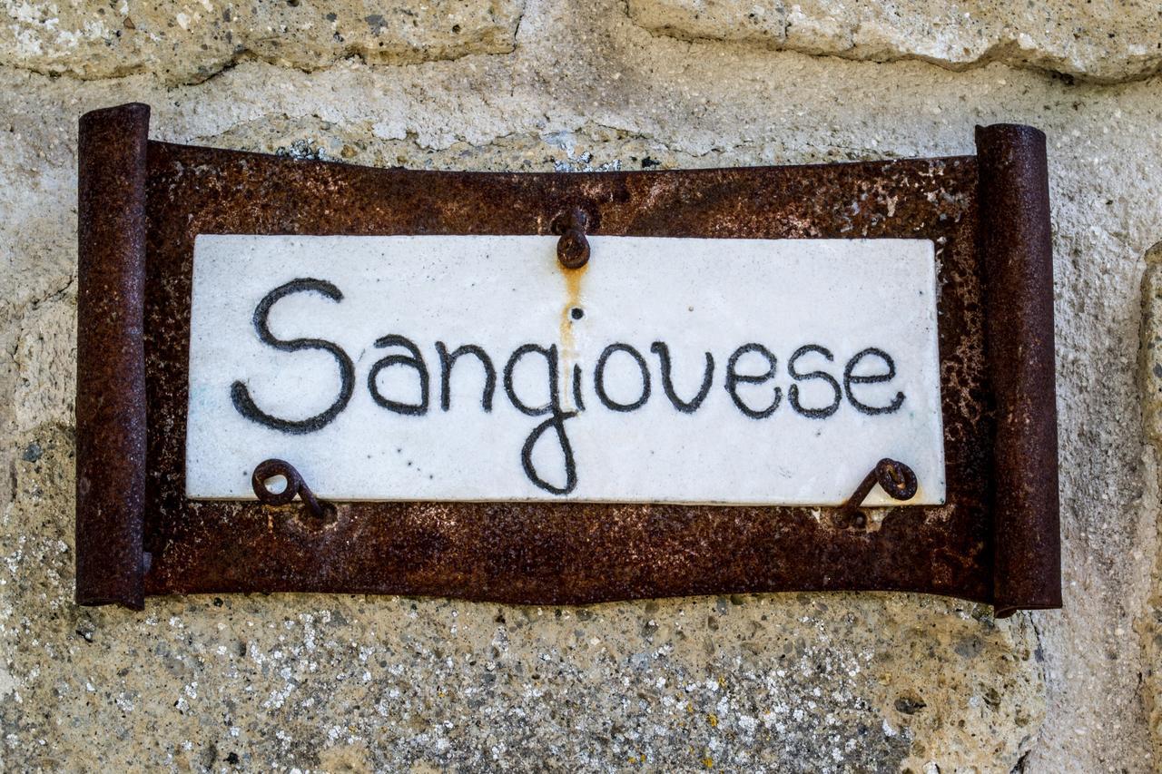 Agriturismo Poggio Delle Conche ปีติญาโน ภายนอก รูปภาพ